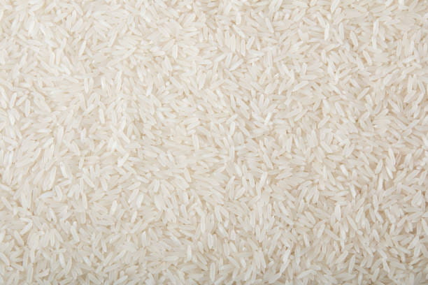 تصویر 4 از برنج تازه سال نو نشانه طراوت فصل شالیزار ها